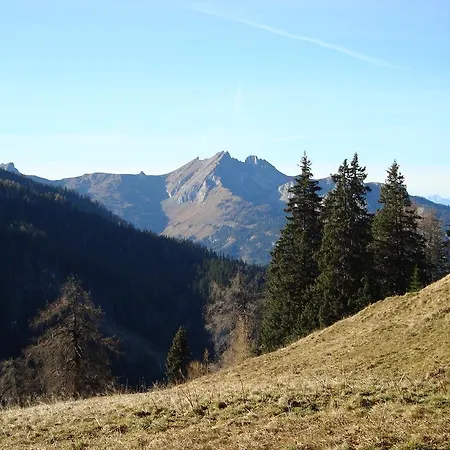 Appartementhaus Schuetzenhof Schied *